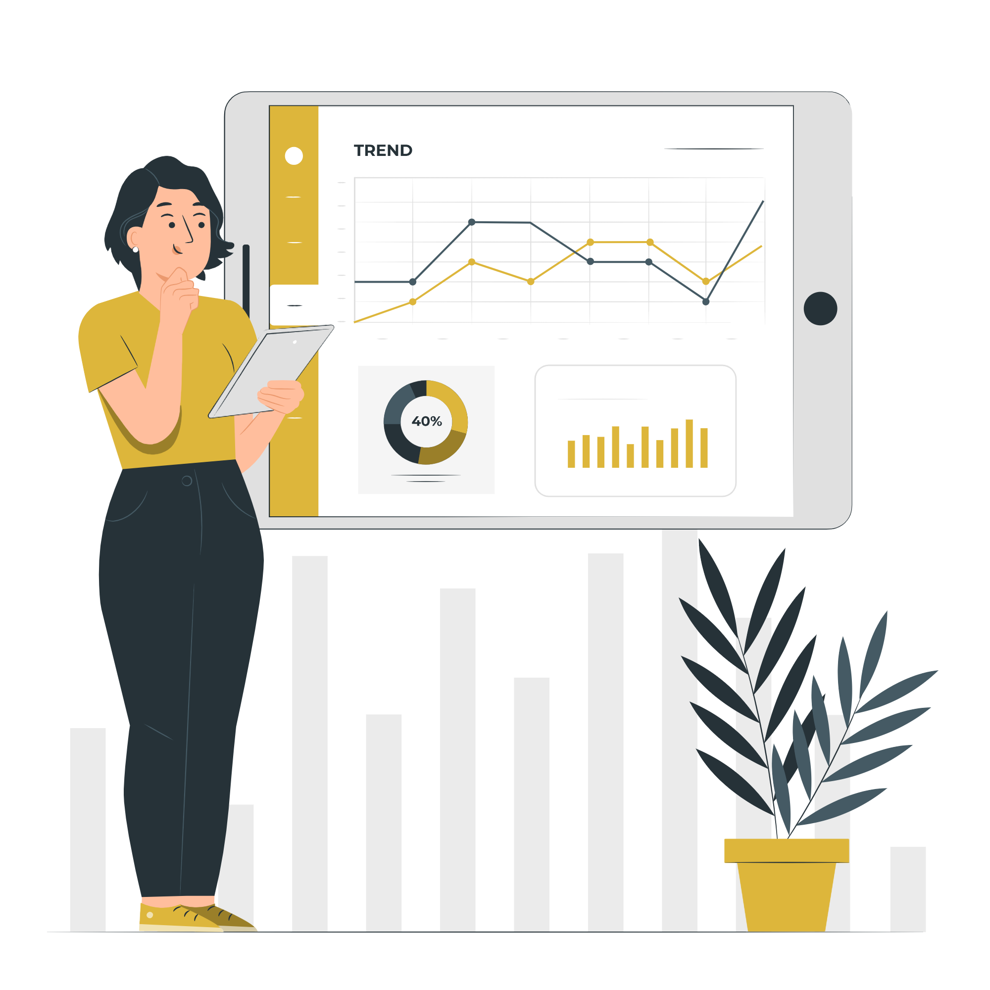 Reports and Insights